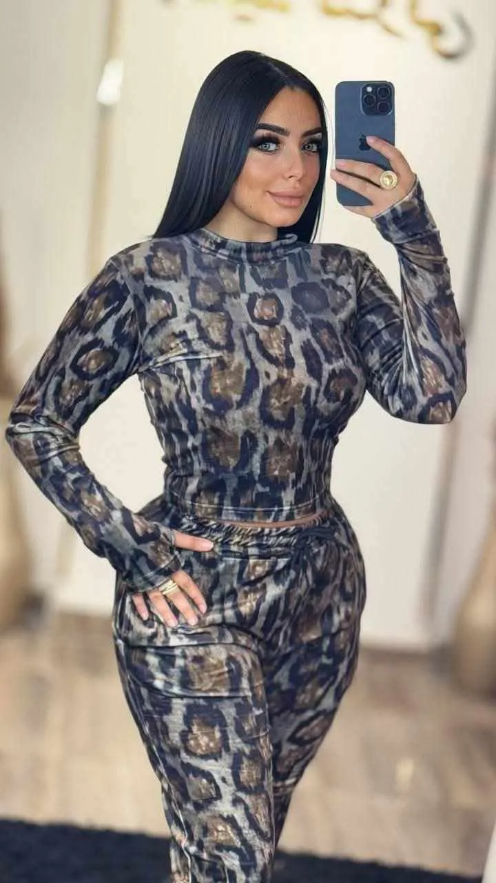 السوت التايجر