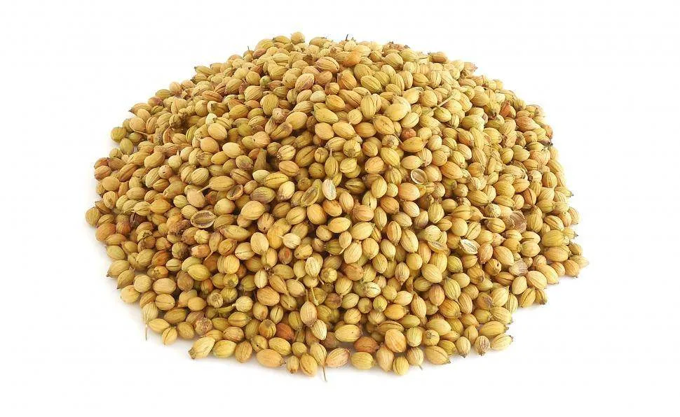 كسبرة بلدي *250جرام