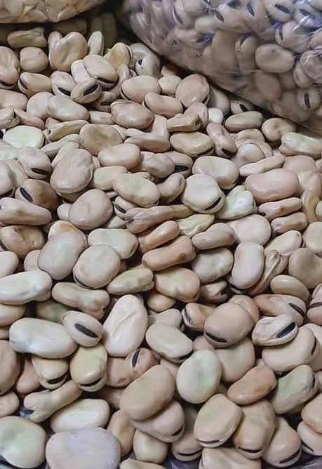 فول صحيح بلدي *١ك